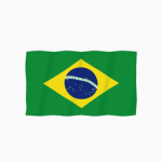 Brazil flag Lottie animation