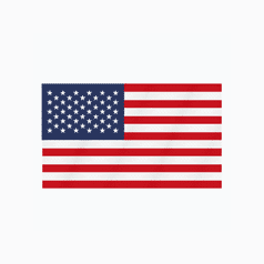 USA flag Rive & Lottie animation